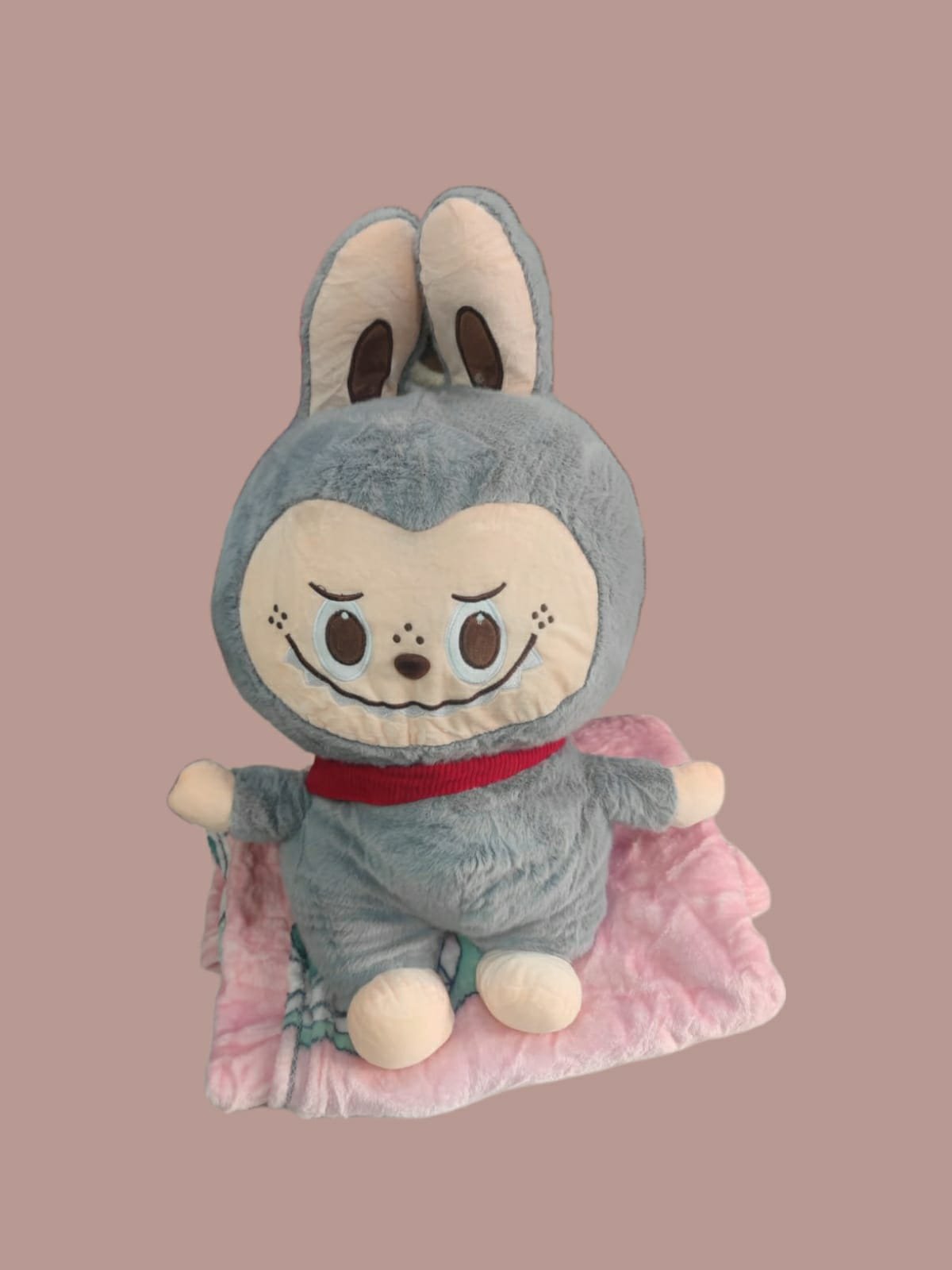 Peluches con Manta - Imagen 3